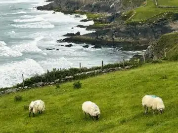 Irlande à moto, voyage organisé par Itinéraires Évasion