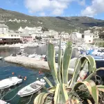 Plante-aloe Vera-Corse à moto – île de beauté et hôtels de charme-Itinéraires-Evasion