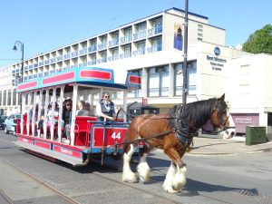 train-promenade-cheval-IOM-Itinéraires-pays de galles et île de man