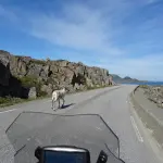 Gjesvaer-Renes-moto-route-Norvège-Itinéraires-Evasion