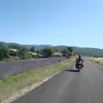 Moto-route-de-la-lavande Itinéraires Evasion-Circuit moto Provence routes de la lavande