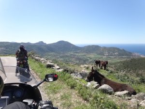 Moto-Corse-Cap-Itinéraires-Evasion-Circuit moto Cap Corse Haute-Corse
