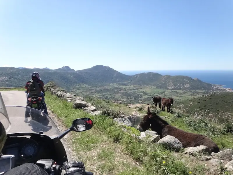 Moto-Corse-Cap-Itinéraires-Evasion-Circuit moto Cap Corse Haute-Corse