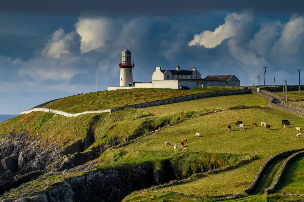 Phare et maisons blanches sur une falaise herbeuse d Irlande, vaches au pré et ciel d orage